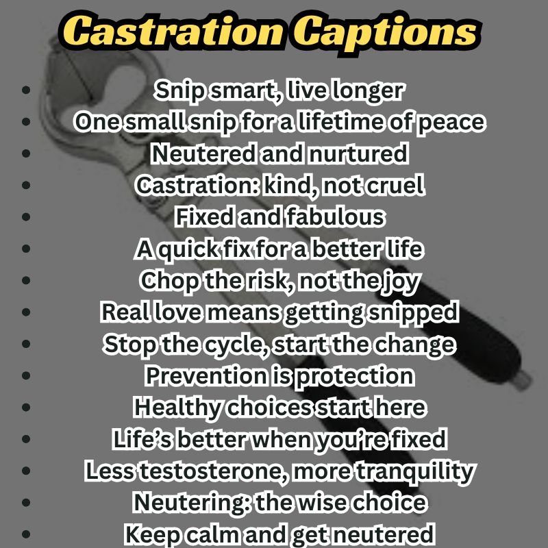 Poster design with bold castration captions and a message supporting spay/neuter campaigns