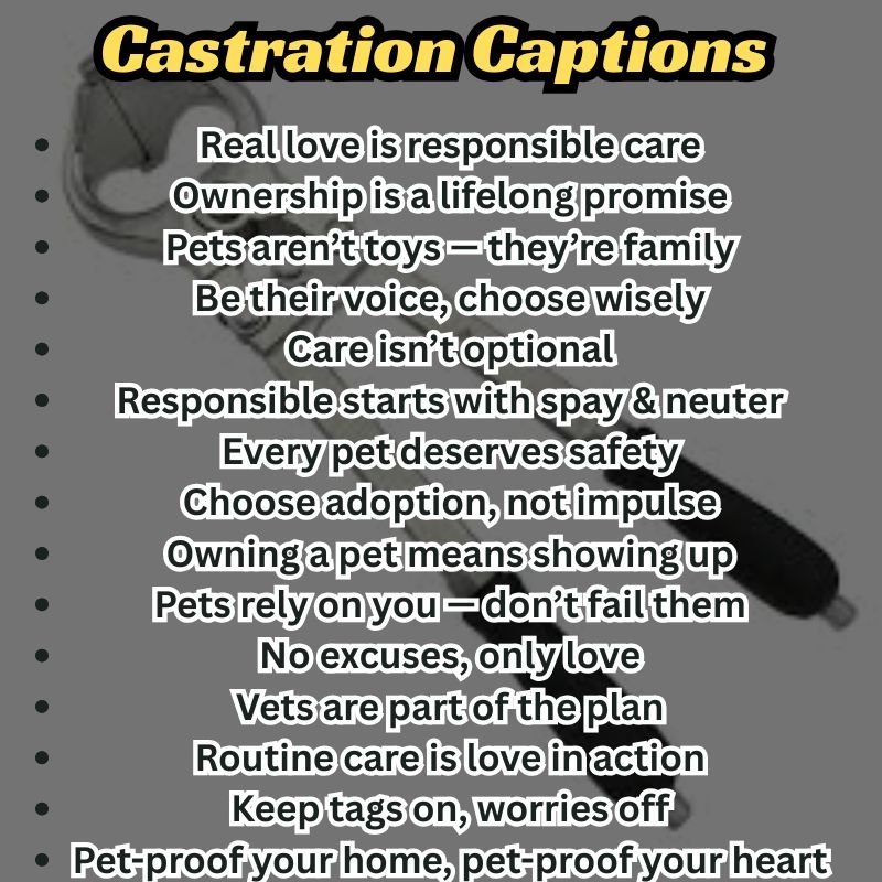 Visual list of creative castration captions for Instagram posts by animal rights organizations