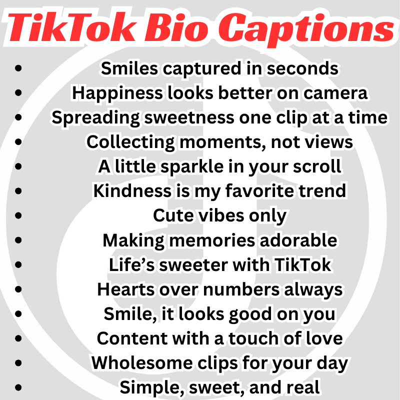 Cute TikTok Bio Captions