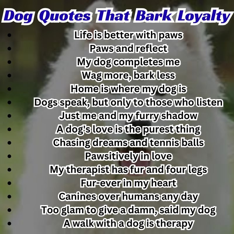 Golden retriever sitting with a sign that reads "Loyalty lives here" – perfect for dog quote articles