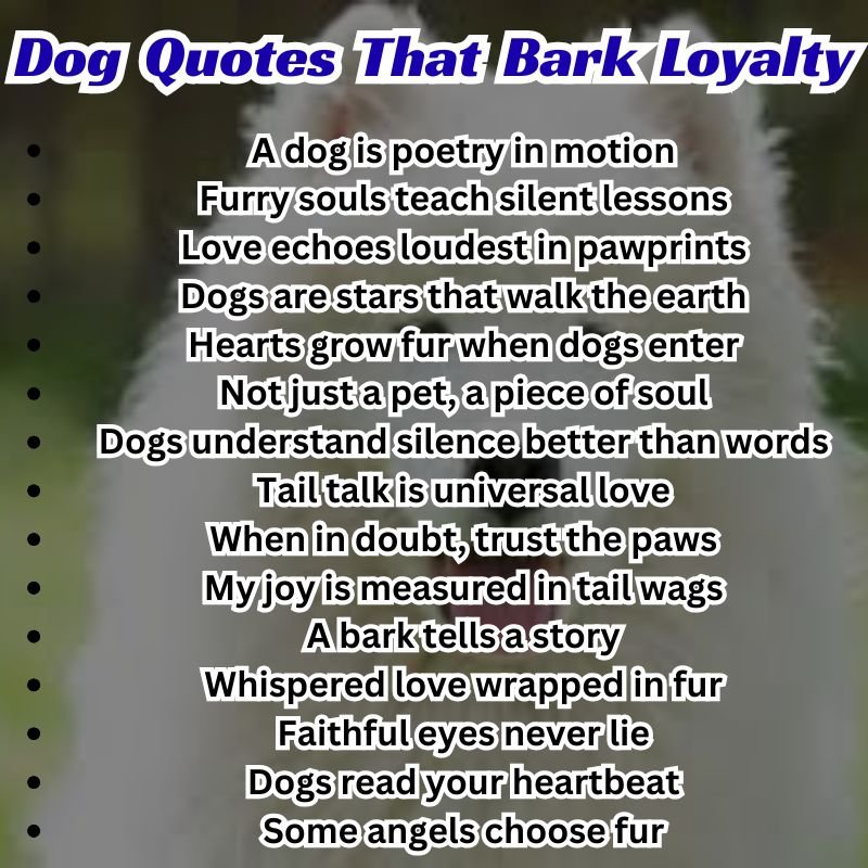 Dog and owner sharing a moment of love, ideal for articles about best friend dog quotes