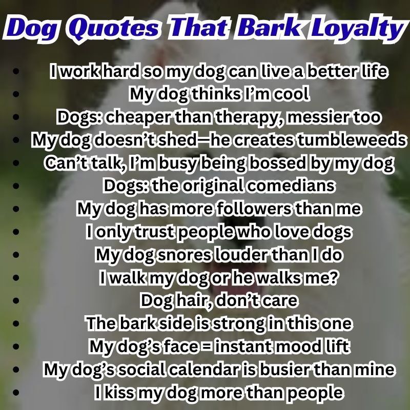 Collage of dog breeds with short inspirational dog quotes in stylish fonts