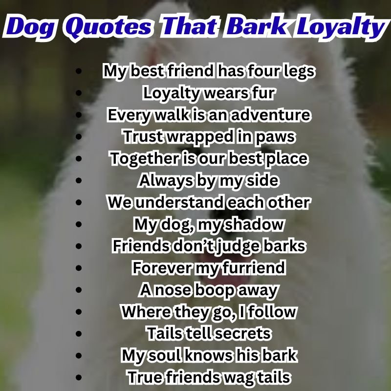 Senior dog lying peacefully with a touching quote about loyalty and love