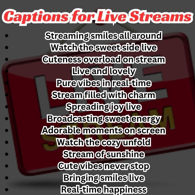 Cute Live Stream Captions