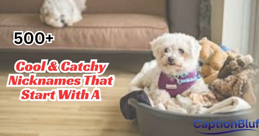 500+ Dog Quotes That Bark Loyalty & Love