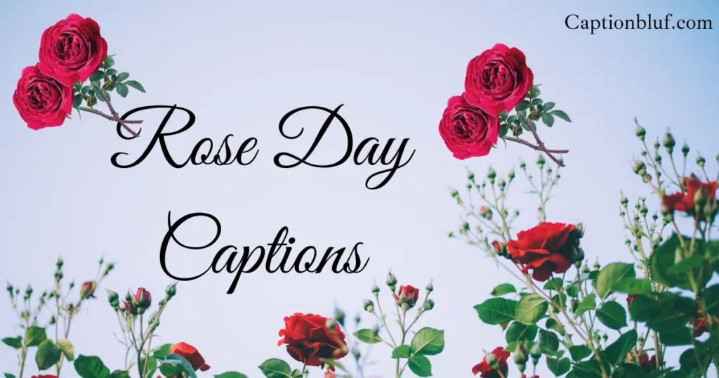 Best Rose Day Captions Ideas to Express Love